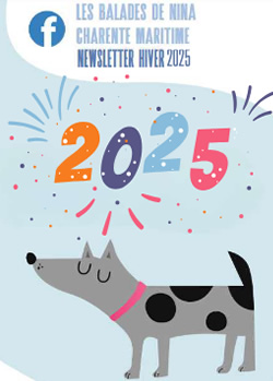 association-canine-la-rochelle